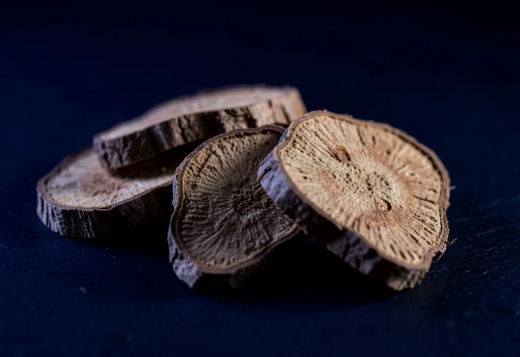 Botanical specimen under low-key light